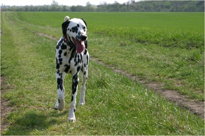<b>stellt euch ganz weit auseinander und stoppt meine Laufzeit!<b>